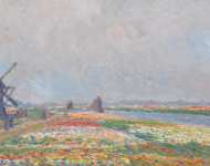 Тюльпан поля вблизи Гааги