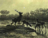 Deer Drinking by a Moonlit Lake