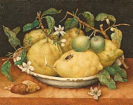 Натюрморт с миской лимонов