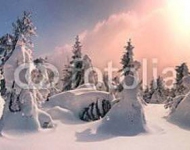 Укрытый снегом лес