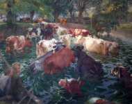 Коровы в реке