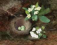 Натюрморт с гнездом дрозда первоцветами и цветами груши