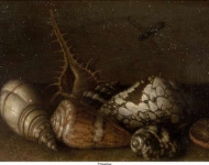 Ast, Balthasar van der - Ракушки, ок. 1640, 7,8 cm x 12,5 cm, Медь, масло