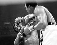 Исторические черно-белые фотографии - Бокс