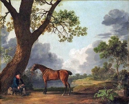 Лошадь с хозяином