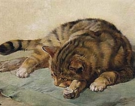 Джулиус Адам - Cat lying