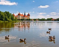 Германия. Замок Морицбург 2