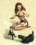 Pin-Up 795