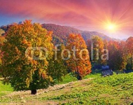 Осенний пейзаж с закатным солнцем