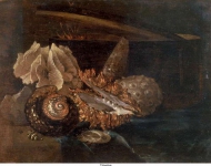 Kalf, Willem - Натюрморт с ракушками кораллом, ок. 1678, 25 cm x 33 cm, Дерево, масло