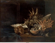Kalf, Willem - Натюрморт с ракушками, ок. 1678, 25 cm x 33 cm, Дерево, масло