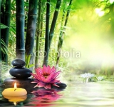 Massage in nature - lily, stones, bamboo - zen concept