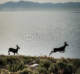 Два оленя на фоне горного озера