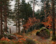 Сосновый лес в зимний период