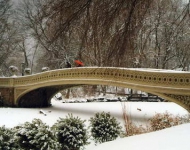 DE DE Die Bow Bridge im Central Park New York USA