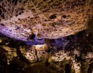 DE DE Wind Cave National Park Black Hills South Dakota