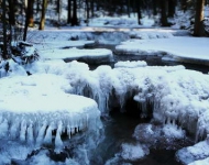 EN AU Icy creek in Bavarian Forest National Park Germany