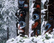 EN CA Totems of Thunderbird Park in winter Victoria Vancouver Island British Columbia