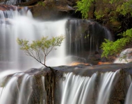 WentworthFalls EN AU