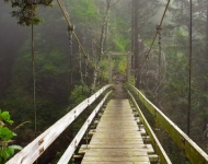 TsocowisCreekBridge ROW