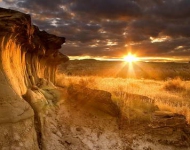 DinosaurPark EN CA