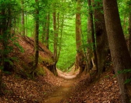 NatchezTrace ROW