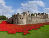 CeramicPoppies EN GB