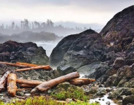 WestCoastLogs EN CA