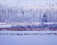 ElkIslandNP ROW