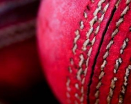 CricketBalls EN IN