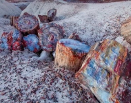 PetrifiedForestNP ROW