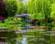 GivernyGardenSpring ROW