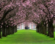 SchwetzingerSchlossgarten DE DE