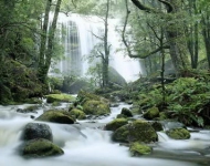 TasmaniaWaterfall ROW