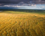 PrairieAlberta EN CA