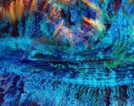 ColorfulCoral ROW