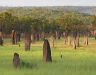 LitchfieldMounds EN AU