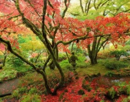 ButchartGardens EN CA