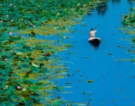 DalLake EN IN