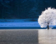 CailleFrozenLake ROW