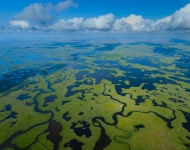 EvergladesAerialNP EN US