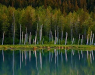 PortageValley ROW