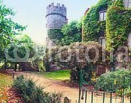 Ирландия.Замок рядом с Дублином. Осень
