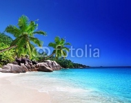 Сейшелы, остров  Praslin i