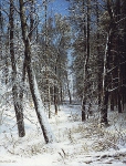 Зима в лесу (Иней)