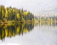 США. Alaska fall color reflected in a river