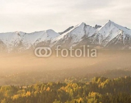 Польша, Татры. Туманное утро