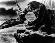 Wray Fay (King Kong) 3