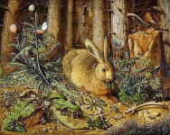 Ханс Хоффман.«Заяц в лесу»