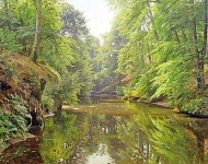 Wooded River Landscape